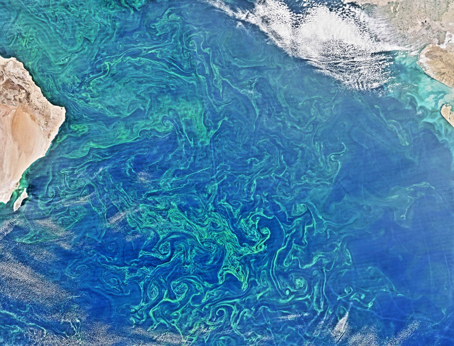 Phytoplankton Blooms in the Southern Ocean: Through Satellite Observations